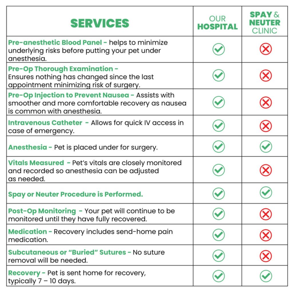 services